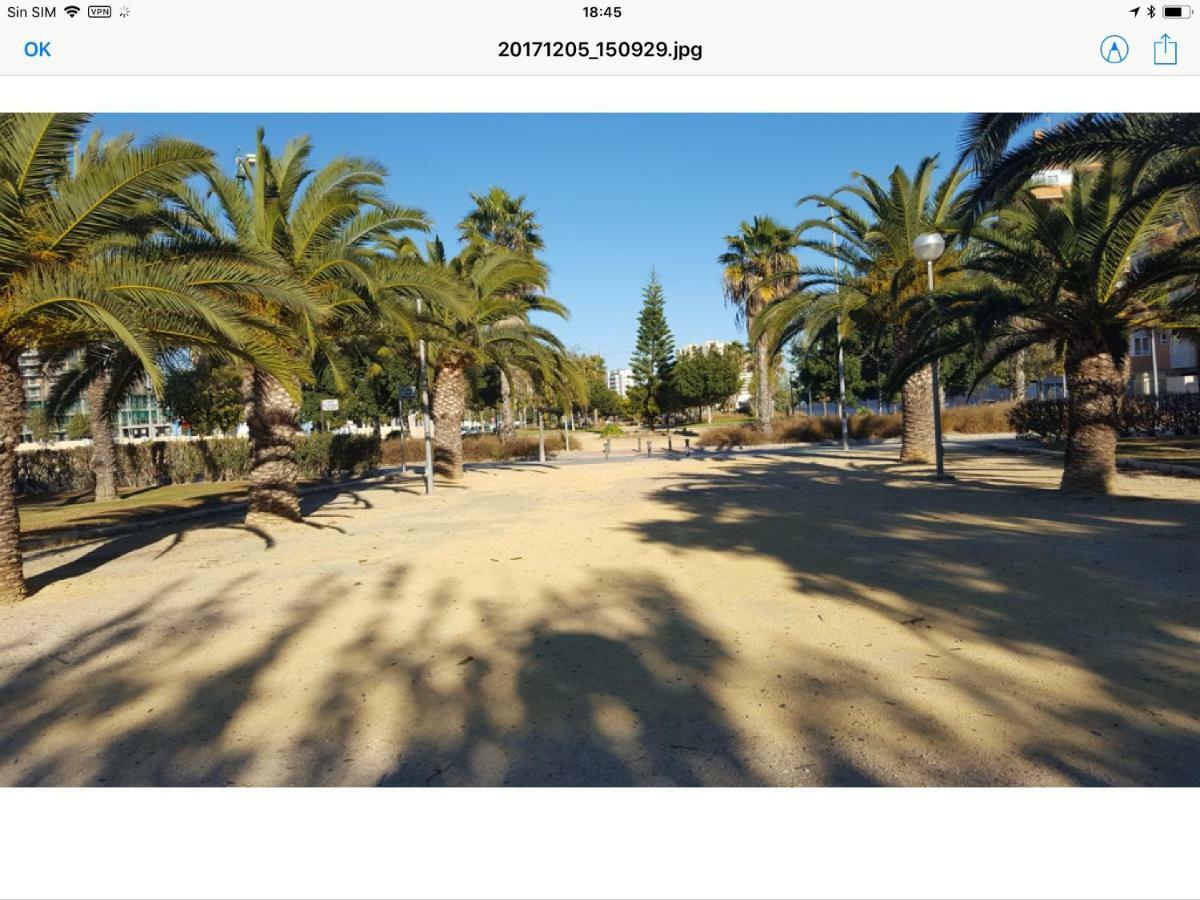 Sol Y Playa En San Juan Alicante Exteriör bild