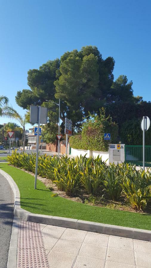 Sol Y Playa En San Juan Alicante Exteriör bild